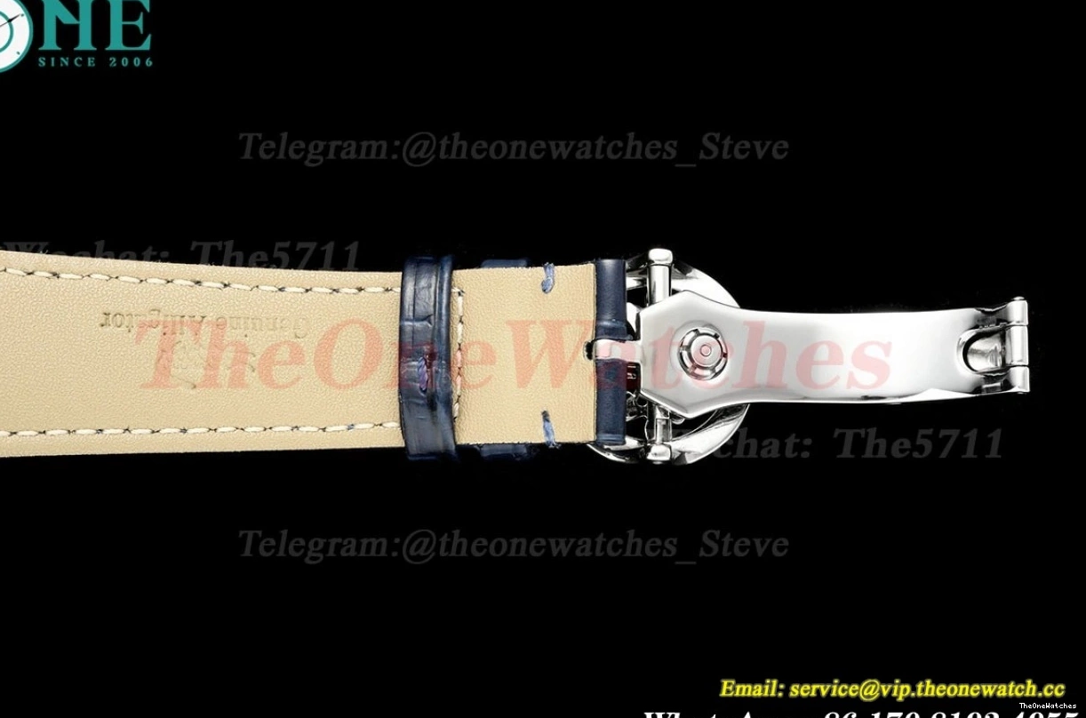 Sky Dial 42mm SS Complications Tourb RMSF LE Starry 0420